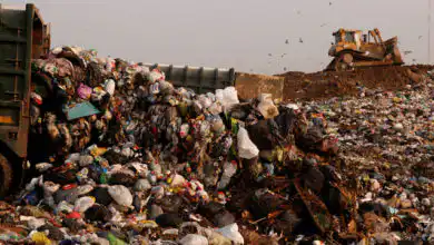 3c9bb027 img35298 opt