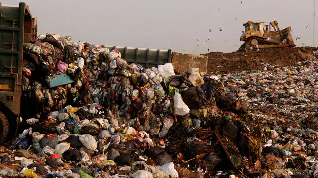 3c9bb027 img35298 opt