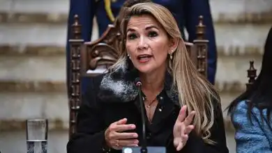 5dcedbeac684f 1004x565 opt