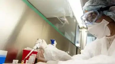 Coronavirus Descubrimiento en el instituto Malbran