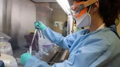 Coronavirus Investigacion argentina