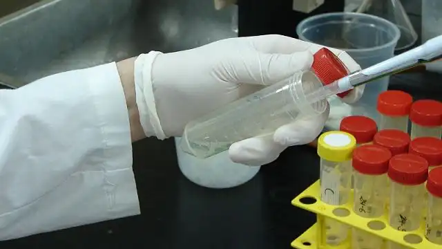 Dengue Biolarvicida INTA