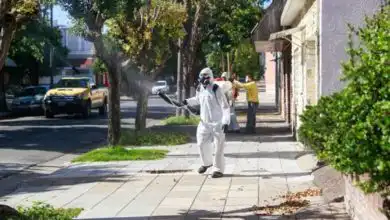 Dengue Ciudad de Buenos Aires Boletin Epidemiologico