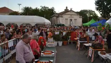 Fiesta Nacional del Durazno3 opt