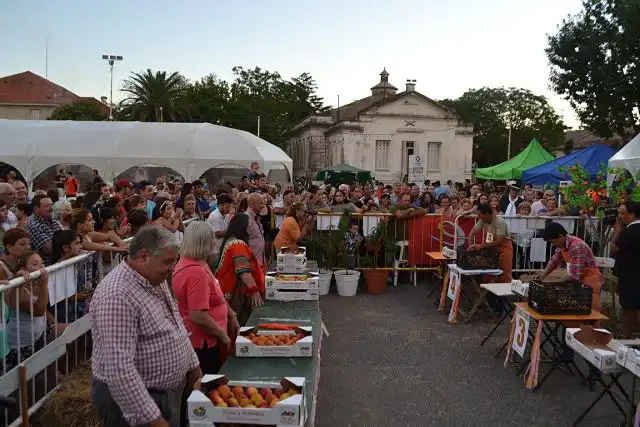 Fiesta Nacional del Durazno3 opt