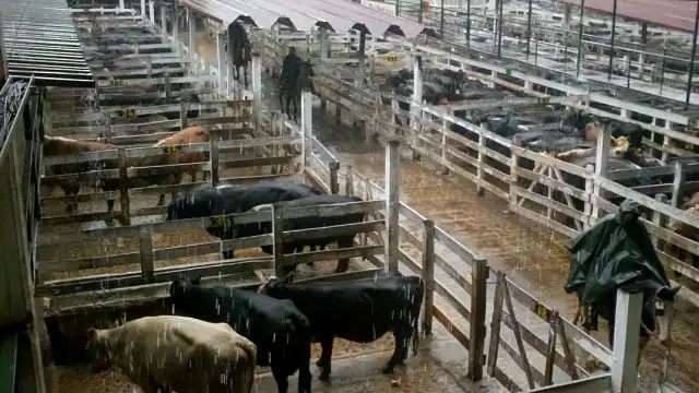 Mercado de Hacienda Aprobaron el proyecto en la Legislatura de la Ciudad de Buenos Aires Noviembre 2018