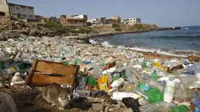 Senegal convierte pais bolsas plastico EDIIMA20160104 0346 27 opt