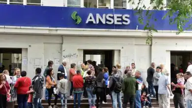 anses opt