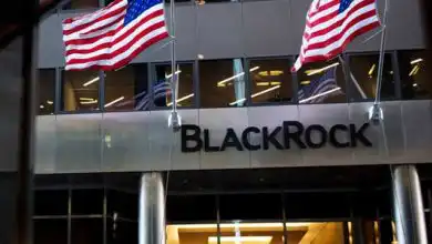 blackrock opt