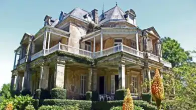 castillo guerrero opt