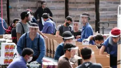 fabrica excepruada opt