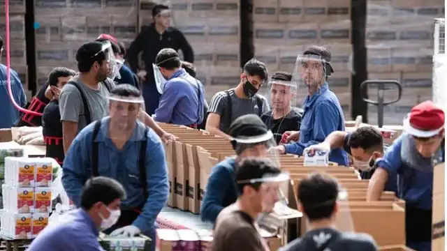 fabrica excepruada opt