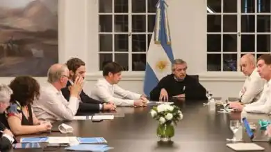 reunion de boludos opt