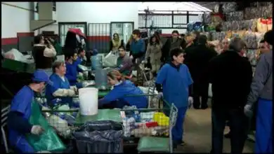 todo para elñlos opt